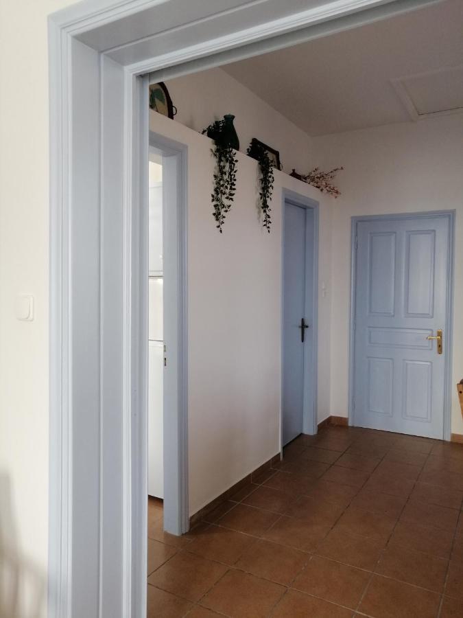 Aegina Port Apt 2-Διαμέρισμα Στο Λιμάνι Της Αίγινας 2 Exteriör bild